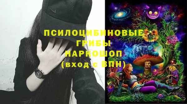 apvp Дмитровск