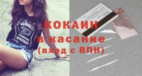 прущие грибы Елизово