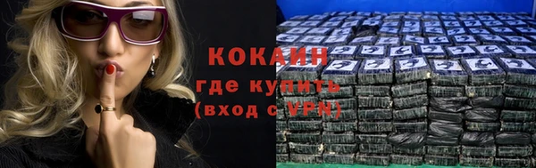 прущие грибы Елизово