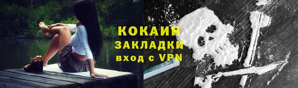 apvp Дмитровск