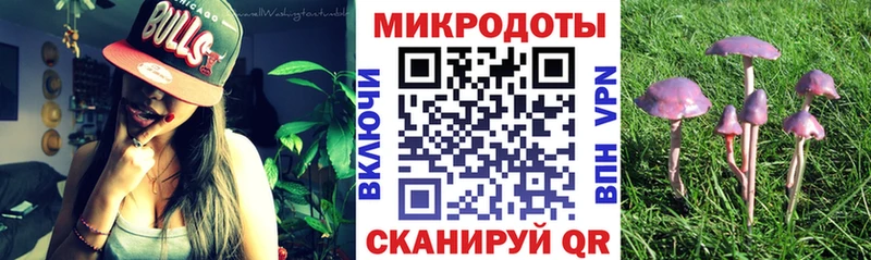 Псилоцибиновые грибы мухоморы Купить Чехов